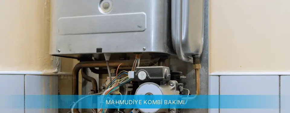 Mahmudiye İlçemi Daikin Kombi Bakımı